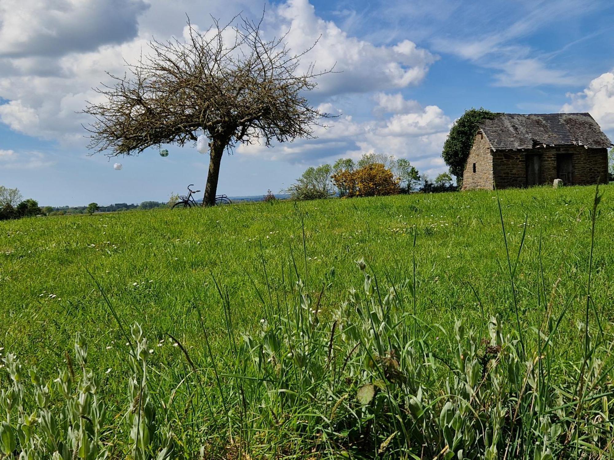 Maison Precey Zewnętrze zdjęcie